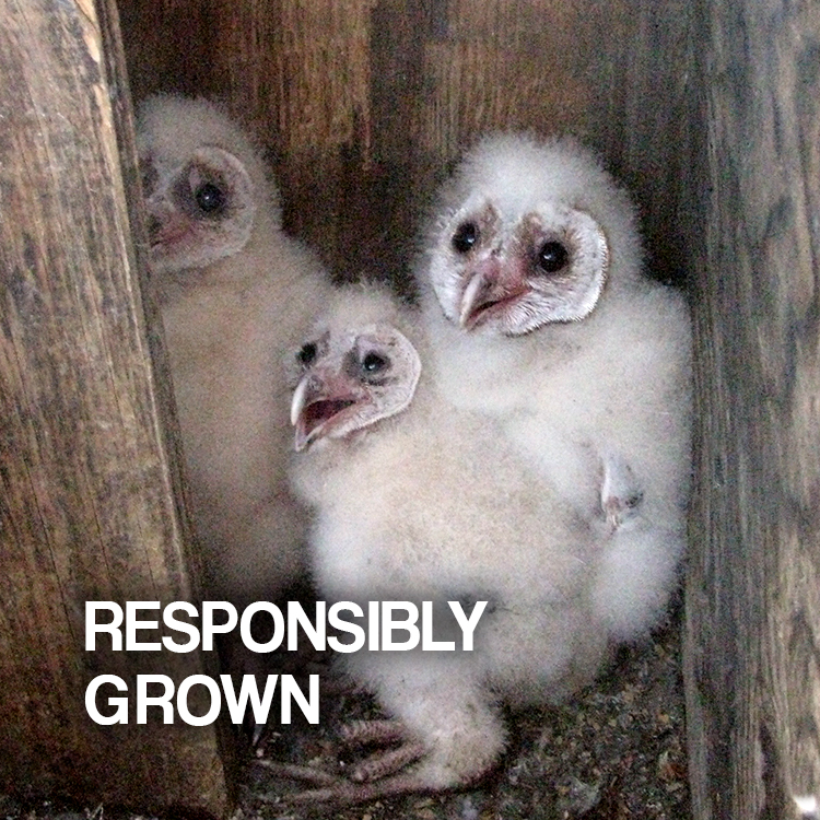 Responsiby Grown